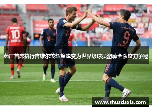 药厂首席执行官维尔茨辉煌蜕变为世界级球员激励全队奋力争冠
