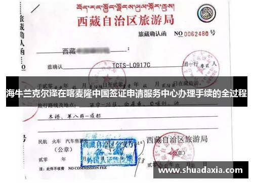 海牛兰克尔泽在喀麦隆中国签证申请服务中心办理手续的全过程