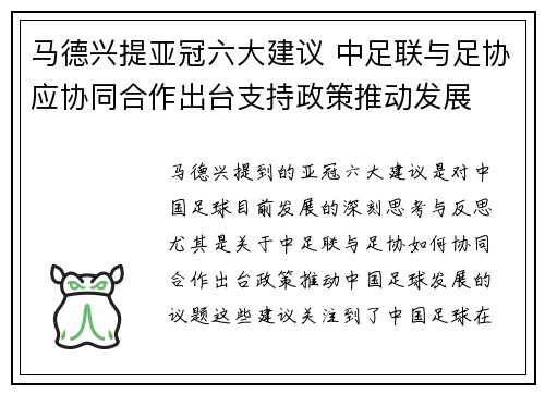 马德兴提亚冠六大建议 中足联与足协应协同合作出台支持政策推动发展