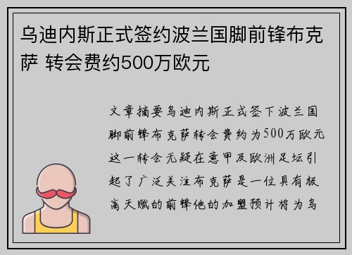 乌迪内斯正式签约波兰国脚前锋布克萨 转会费约500万欧元