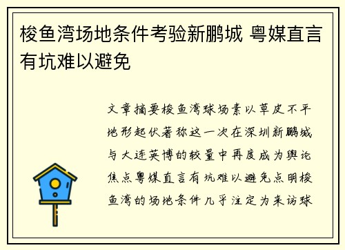 梭鱼湾场地条件考验新鹏城 粤媒直言有坑难以避免